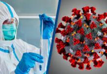 Univ. Boston spune ca cercetarea lor e magnifică, dar au creat un virus letal ce pune întreaga omenire în pericol!