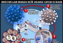 Noua tulpină letală de Covid, creată în laboratorul din Boston. 80 % rată de deces la șoareci