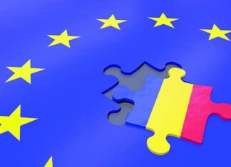 Cornel Nistorescu, analiză critică în urma unui raport al Cotroceniului: România – o adunătură!