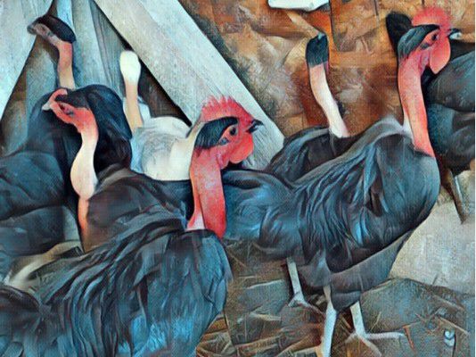 <strong>Găinușele mele sunt protejate de umbrela NATO</strong>