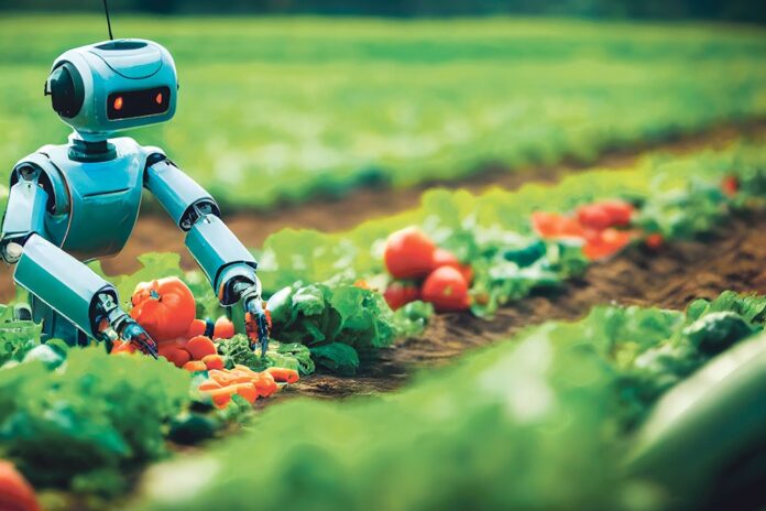 Roboți în fermele românești!