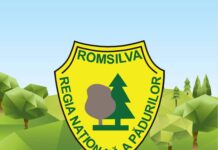 E rău că se privatizează Romsilva?