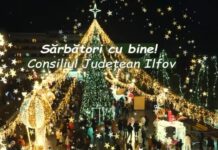 Ilfovul în sărbătoare! Târguri de Crăciun, colinde, concerte pline de magie și povești nemuritoare!