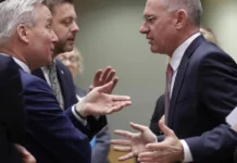 Presa vieneză: Patronatele române vor cere Austriei plăți compensatorii de 200 de milioane de Euro, pe lună