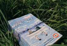 Parlamentul de la Moscova a votat o lege împotriva unui roman gay