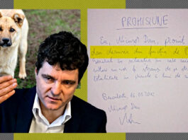 <strong>Scandalul de la Mănăstirea Frăsinei a fost amorsat de către Diana Șoșoacă. Mitropolitul Irineu are dreptate, dar scopurile protestatarilor sunt electorale</strong>