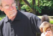 DEFECTELE GENERAȚIEI MELE