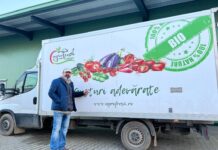 Producătorii bio – fiii ploii în România