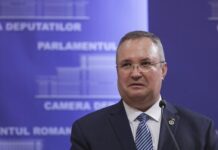 SRS: În mod cert Ciucă este un plagiator, Emilia Șercan a avut dreptate 100%! “Ostașul lui Iohannis” este un om profund necinstit, deci extrem de periculos