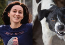 Tragedia de la Lacul Morii: Să fie de vină câinii sau oamenii?