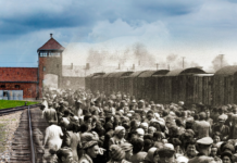 27 ianuarie: ZIUA INTERNAȚIONALĂ A COMEMORĂRII VICTIMELOR HOLOCAUSTULUI