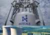 ”România lui Bolojan”, în pericol iminent legat și de energia electrică! Dependența de Kozlodui, Bulgaria.