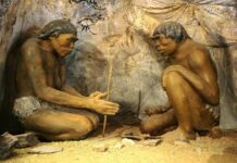 Prăbușirea rețelei electrice din SUA! Blackoutul și digitalizarea ne vor trimite înapoi în Epoca de Piatră