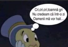Alimentele pe bază de GÂNDACI comercializate în magazinele din România!? Lidl speculează risipa alimentară