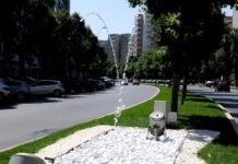 Licitație publică deschisă pentru delegarea serviciului public de salubrizare pe raza Sectorului 4 al Municipiului București