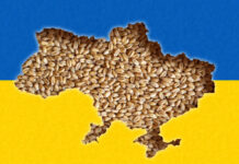 Cele 6 țări tratate de UE ca fiind de categoria a-II-a – problema cerealelor