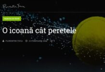 Unul dintre cei mai prestigioși avocați români organizează apărarea lui Novak Djokovic