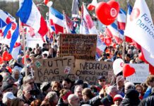 Partidul de protest al fermierilor olandezi a obținut o victorie importantă în alegeri, zguduind Senatul