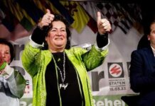 Profitul austriecilor din domeniul RCA pe spinarea românilor și sfidarea ucrainenilor față de autoritățile din România