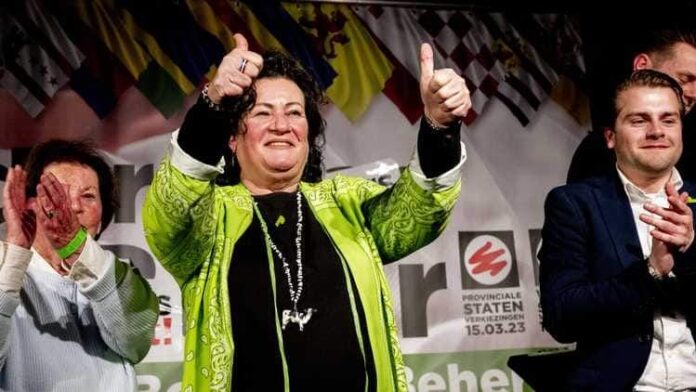 Profitul austriecilor din domeniul RCA pe spinarea românilor și sfidarea ucrainenilor față de autoritățile din România