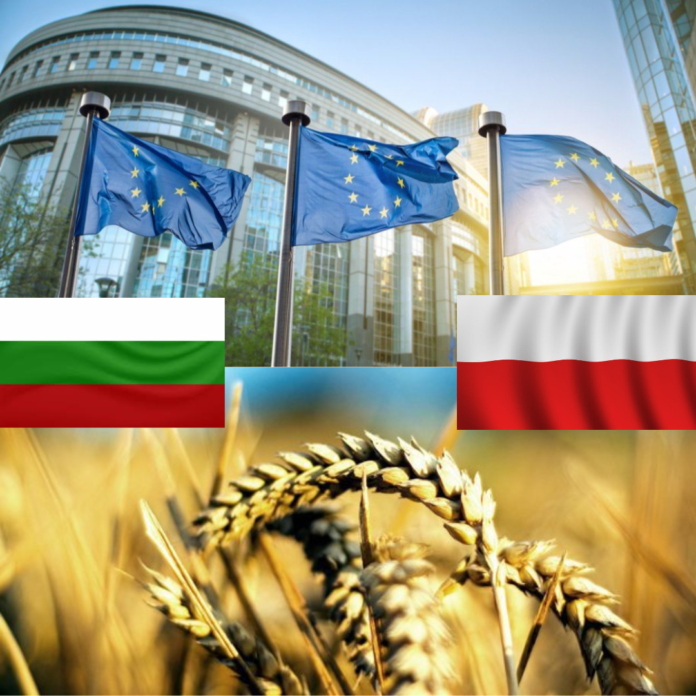 Bulgaria și Polonia fac ceea ce ar trebui să facă România. Sunt demne și critică în mod justificat Comisia Europeană