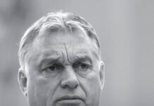 „Lebăda neagră de pe Balaton – Viktor Orban o obsesie asumată”, o altfel de carte despre premierul Ungariei