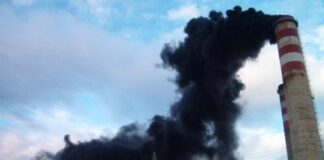 Rochița roz: o nouă gafă de protocol a Președinției