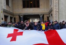Georgienii au ieșit în stradă din cauza unei legi putiniste?