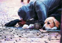 Petrișor Peiu: Cetățeanul român, de trei ori mai sărac decât cetățeanul maghiar și aproape la fel de sărac ca rusul