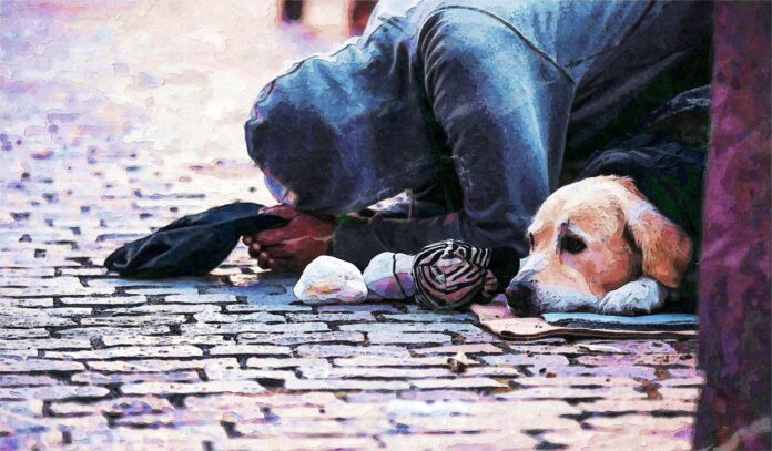 Petrișor Peiu: Cetățeanul român, de trei ori mai sărac decât cetățeanul maghiar și aproape la fel de sărac ca rusul