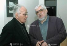 Șora a fost membru permanent în rețele de acoperiți interni sau externi. Andrei Pleșu l-a coordonat în rețeaua haștagilor