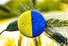 Ucraina primește mâncare gratis de la români în timp ce își exportă masiv propria mâncare!