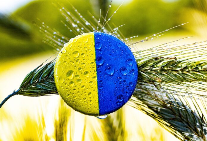 Ucraina primește mâncare gratis de la români în timp ce își exportă masiv propria mâncare!