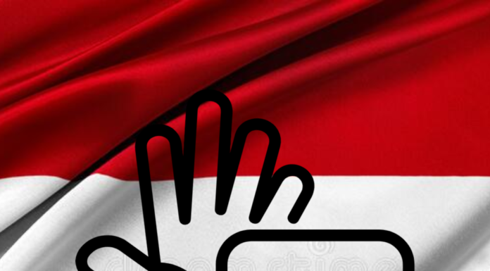 EXCLUSIV – DOCUMENTELE care devoalează MAFIA de la Transporturi. Fami(g)lia de la CNAB, decapitată! Atacurile murdare la adresa acționariatului DETACO, demontate chiar de DNA