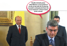 Cât de penali sunt Baconschi, Kovesi, Macovei și Danileț? Resturi de pușcărie în căutarea unor infractori.