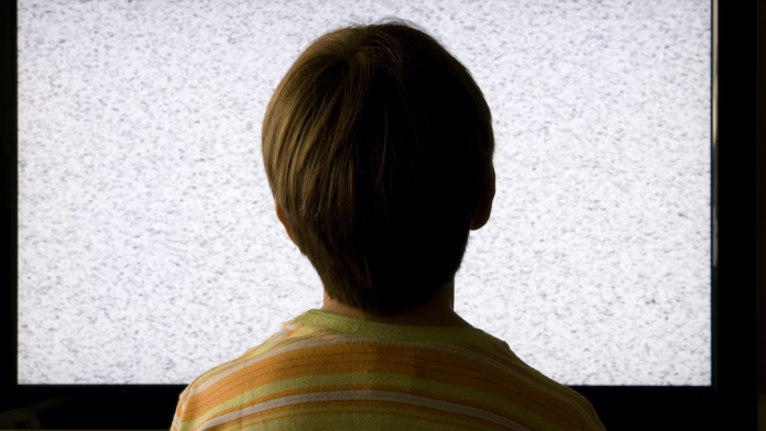 O emisiune din Olanda prezintă adulți transgender dezbrăcați copiilor. Un invitat descrie operația de schimbare de gen ca fiind „euforică”