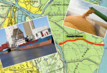 România, la loc comanda! Cereale și Bâstroe