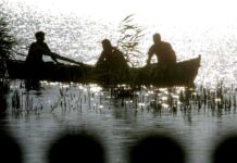 Nu e nicio nebuloasă, Charlie!…