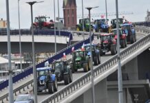 Ministrul Agriculturii din Polonia oprește importurile și impune condiții stricte pentru tranzitul cerealelor ieftine din Ucraina