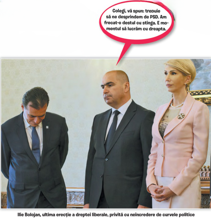 Cum se crește Bolojanul