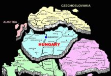 Purice: Lebăda neagră de pe Balaton se asociază cu Grupul de la Cluj. Oameni ca Adriean Videanu, bogați și cu potențial politic, sunt pețiți pentru a participa la proiect!