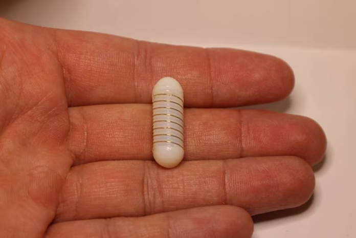 Pastila inteligentă Flash care îți alungă senzația de foame