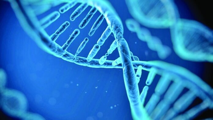 Datele genetice ale românilor vor fi introduse în baza de date a UE!