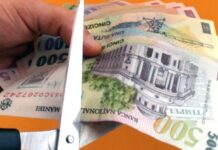 Gușă: Tardiv, dar vin concedierile și tăierile de salarii la stat. Să vedem cât și de unde!