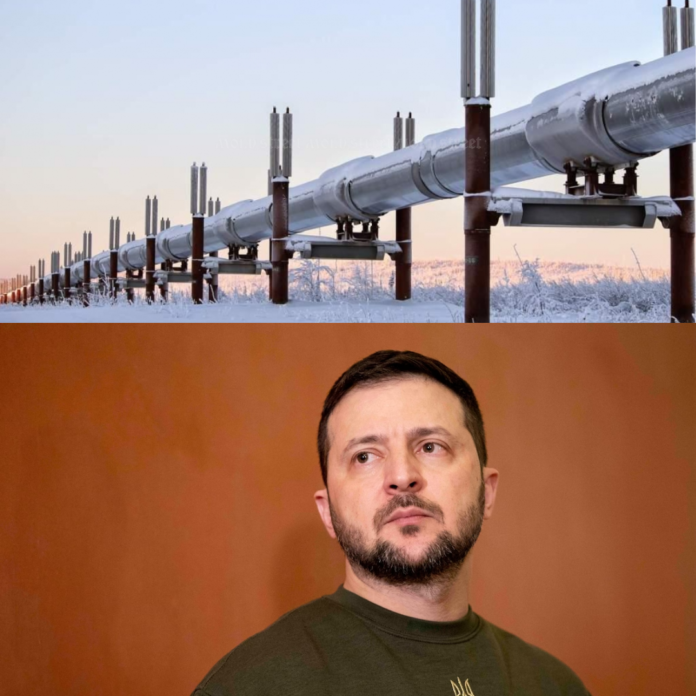 Zelensky – acuzațiile grave din partea SUA, ascunse de presa românească