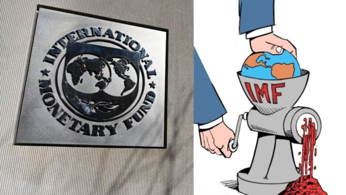 FMI în România și distrugerea provocată în țările în curs de dezvoltare. FMI a îngenuncheat și Ucraina.