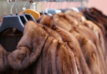 Război împotriva veșmintelor de blană