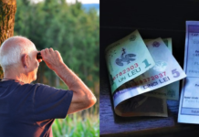 Avem o cheltuială totală la pensii de 7,8% din PIB. PNRR ne permite 9%. Media UE e aproximativ 13%