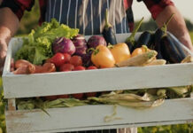 Horia Constantinescu: Se pregătește un act normativ care va obliga instituțiile publice să achiziționeze doar produse românești!