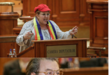 Gușă: Discursul Dianei Șoșoacă e promovat ca să blocheze dezbaterea reală. Operațiunea “Vadim-nebunul” redivivus!